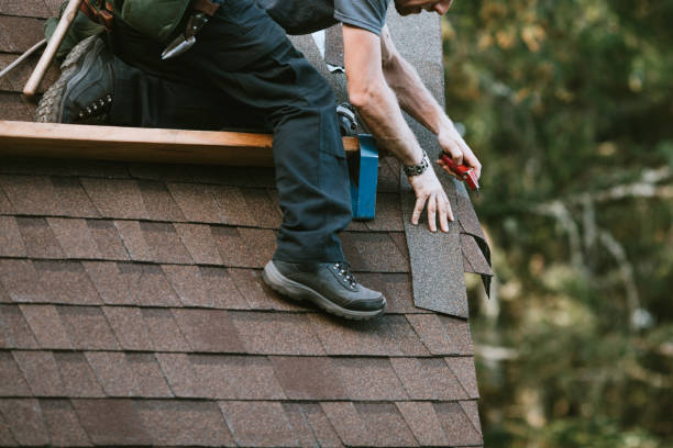 Best Roof Gutter Cleaning  in Anaconda, MT
